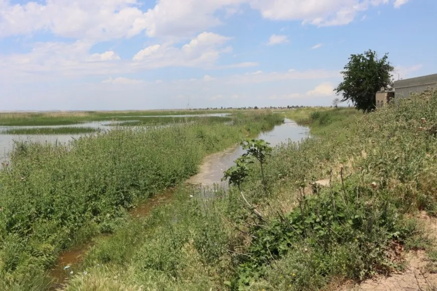 Rising Euphrates water levels threaten villages in western Kobani countryside