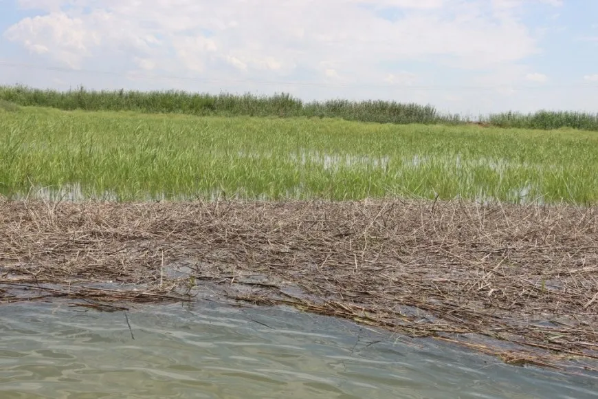Rising Euphrates water levels threaten villages in western Kobani countryside