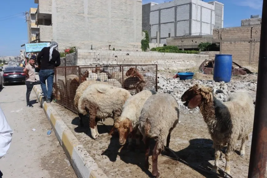 Residents of Kobani prepare to celebrate Eid al-Adha