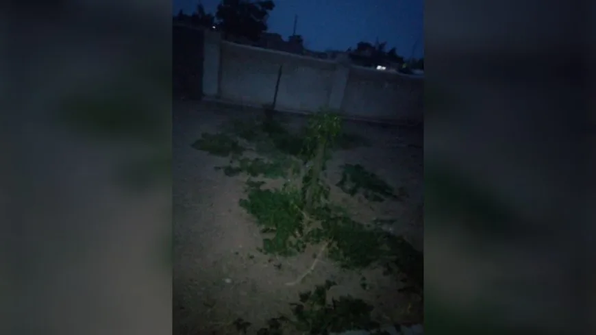 Church of Our Lady in Tel Nasri south of Tel Tamr vandalized, robbed 