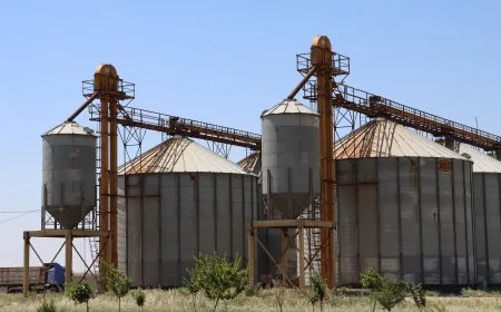 21 wheat collection centers in Hasakah, electronic registration required 