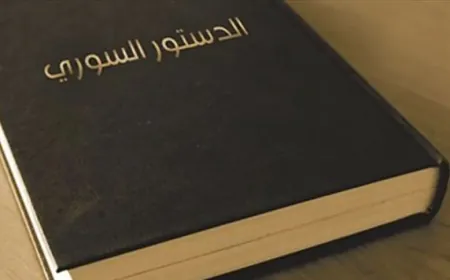 Syrian writer calls for inclusive constitution reflecting Syria’s diversity