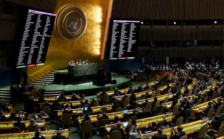 Kurds, UN: Between right to self-determination; observer status