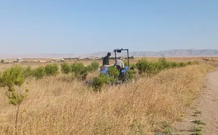 Environment Authority intensifies preventive measures to protect Jazira nature reserves from wildfires