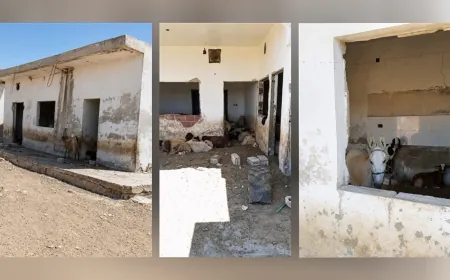 Displaced man finds his Home turned into livestock barn