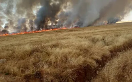 Turkish bases set fire to crops in rural Zirgan