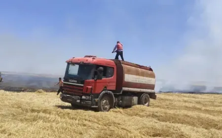 Firefighting teams contain 80% of the Zerghn- Tal Tamr wildfires