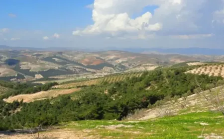 Young man abducted, assaulted in Afrin amid disputes over seized homes