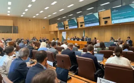 International conference launches in Geneva to discuss mine action in Syria