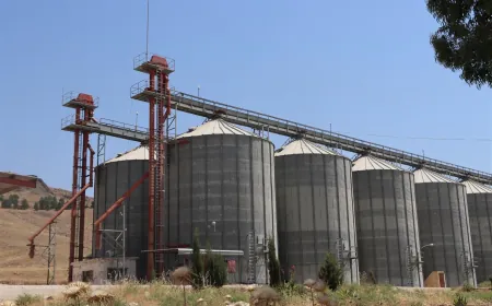 Boroj Silos Administration empties stock after reaching storage capacity