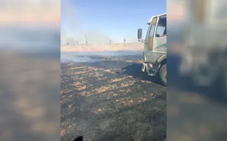Fire extinguished in wheat crop in Al-Darbasiyah countryside