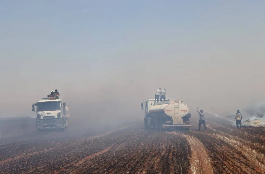 183 fires in Syria, 35 of them in fields and crops