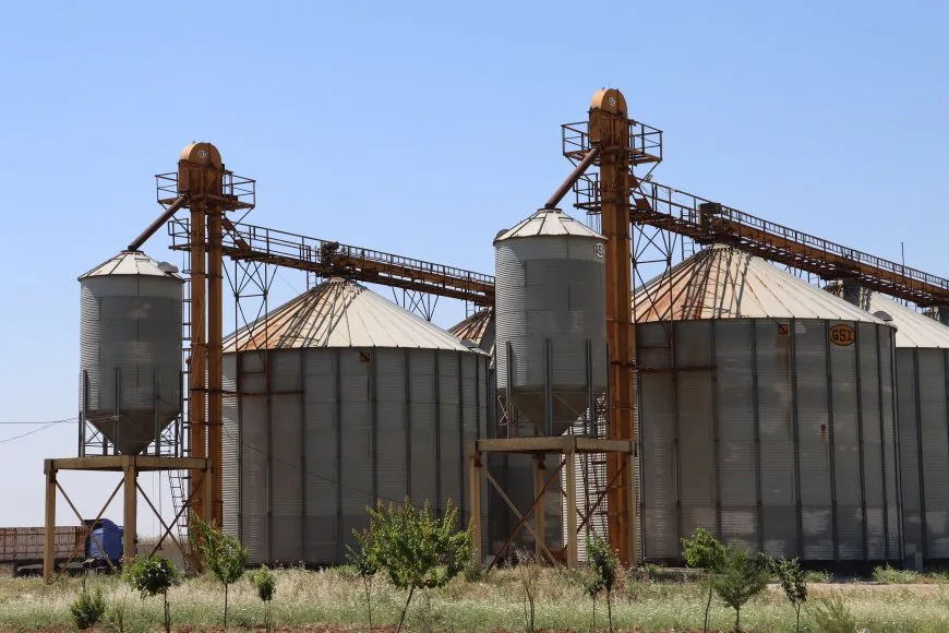 21 wheat collection centers in Hasakah, electronic registration required 