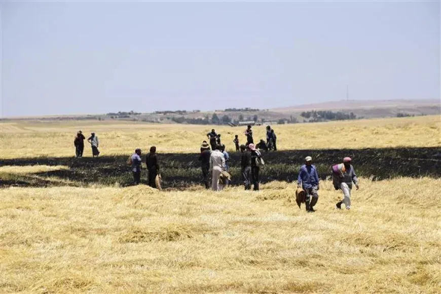Damage to about 1,000 dunams due to field fires in Hasaka