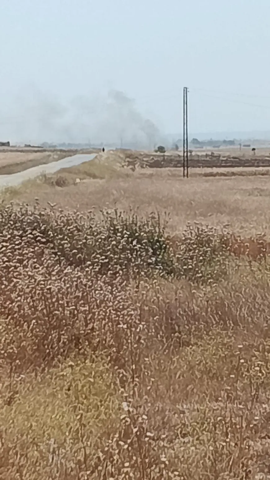 Several fires extinguished in wheat fields; Olive groves south, west of Tel Tamr
