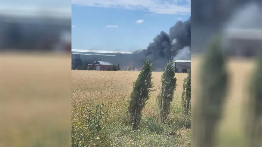 Fire broke out at feed warehouse in Tirbê Spîyê