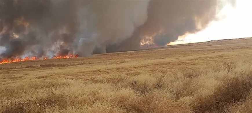Turkish bases set fire to crops in rural Zirgan