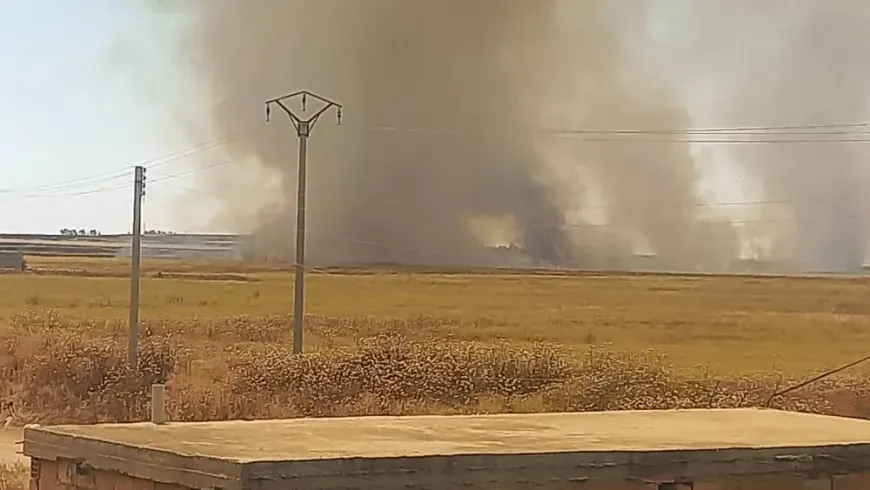 Turkish bases set fire to crops in rural Zirgan