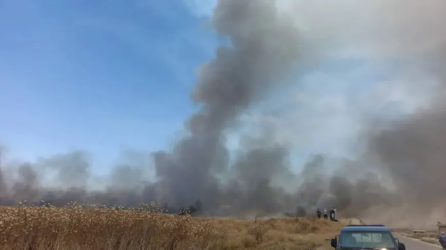 Turkish bases set fire to crops in rural Zirgan