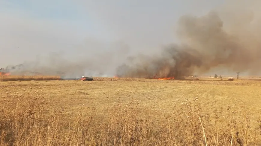 Several homes burn in al-Aboush village as fire reaches Tal Tamr