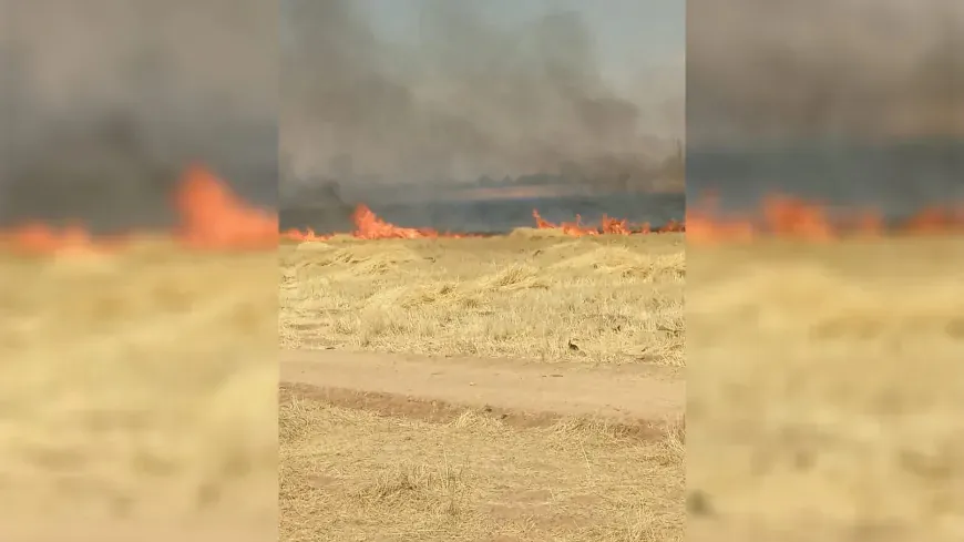 Emergency crews contain major agricultural fire in Brikan village