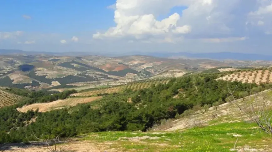 Young man abducted, assaulted in Afrin amid disputes over seized homes