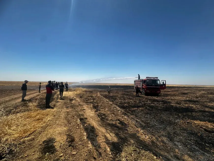 40 dunams of wheat burned in Mishraq village near al-Darbasiyah 
