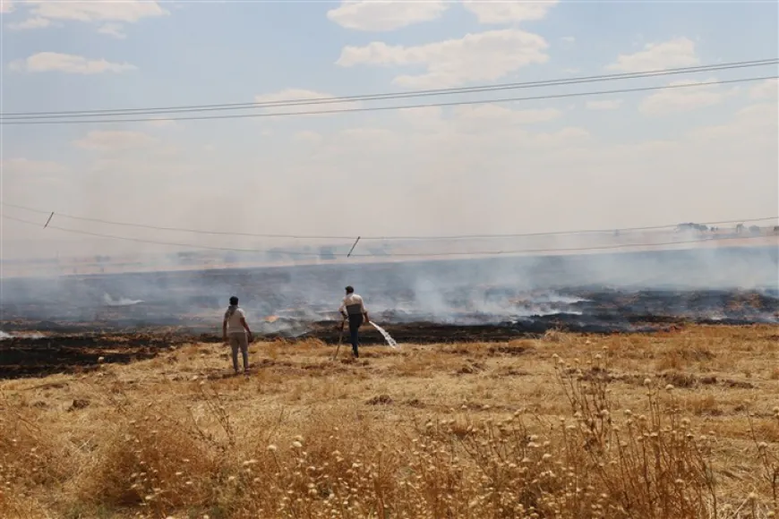 Fire engulfs agricultural lands, halts traffic on Tal Tamr–Hasakah road