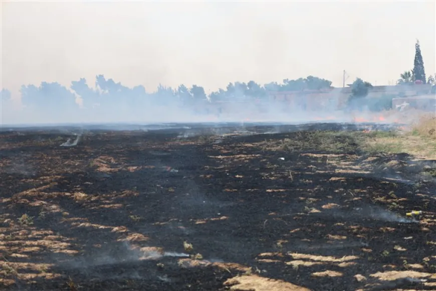 Fire engulfs agricultural lands, halts traffic on Tal Tamr–Hasakah road