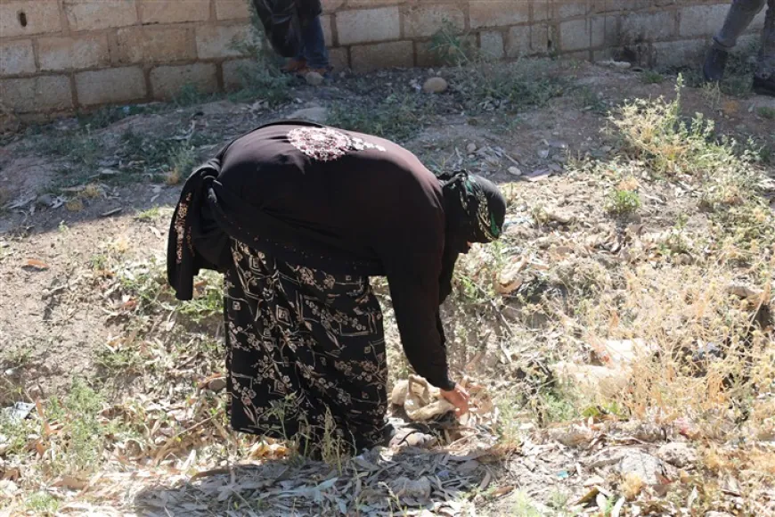 Cleaning operations continue in Tal Tamr, its countryside to enhance services, environment