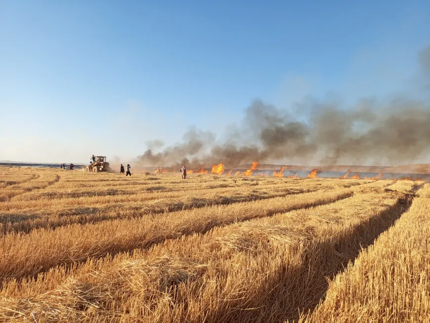 Fire sweeps harvested fields near Tel Tamr