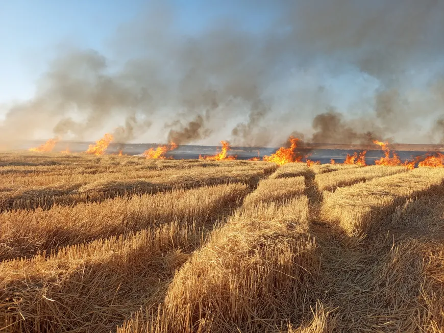Fire sweeps harvested fields near Tel Tamr