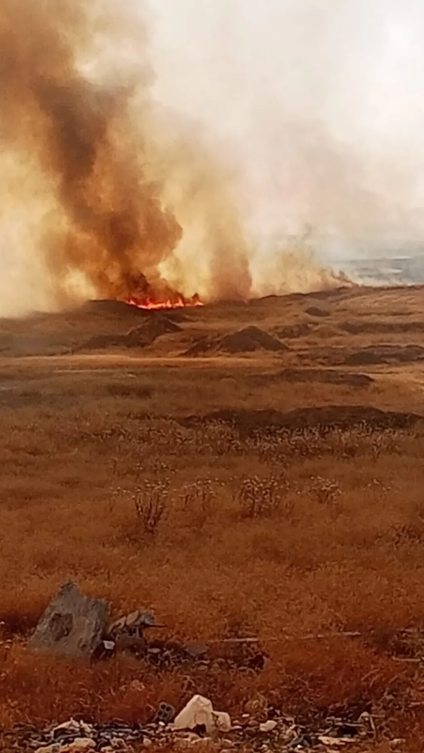 fire broke out in agricultural lands in rural Tel Tamr