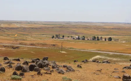 Al-Liyan residents demand return of lands seized under Arab Belt Project