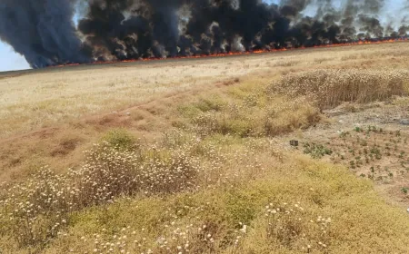 24,144 dunums of crops burned in Hasaka