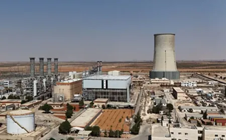 Discontent grows at Jandar power plant over employee dismissals