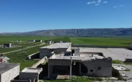 Child dies from snakebite, renewing calls for emergency healthcare services in rural Hama