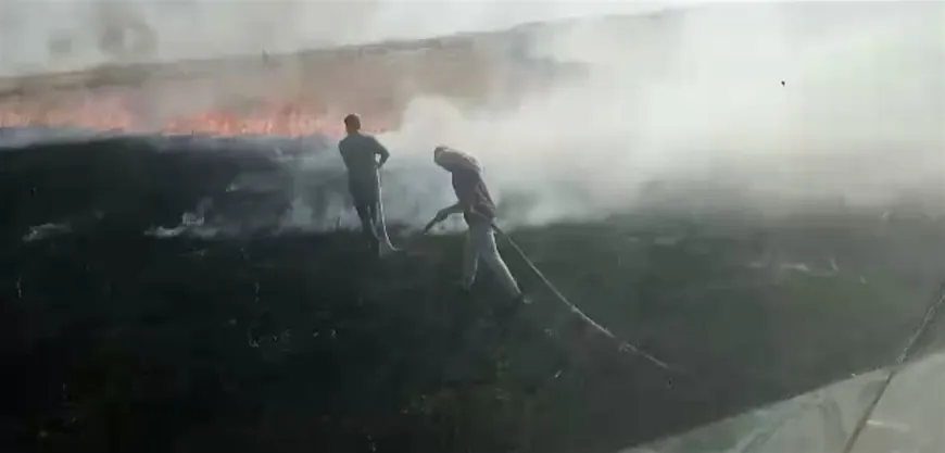 24,144 dunums of crops burned in Hasaka