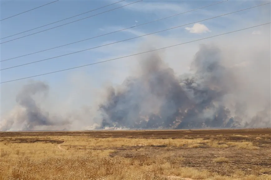 Widespread fire erupts in Tal Tamr countryside, calls for urgent response 