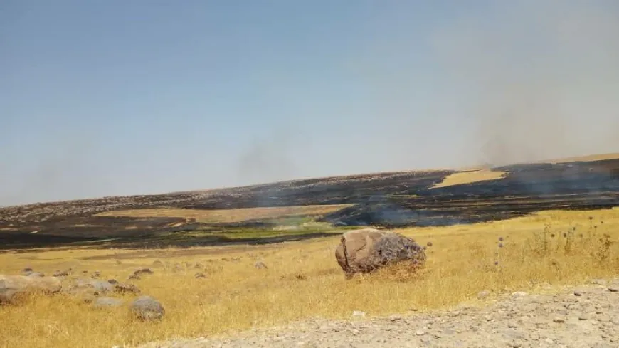 Fire breaks out near Abira Reserve