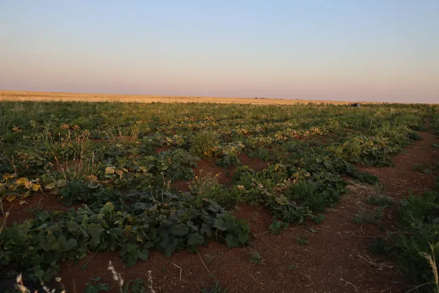 Inflation and investment dominate Syria's economic debate