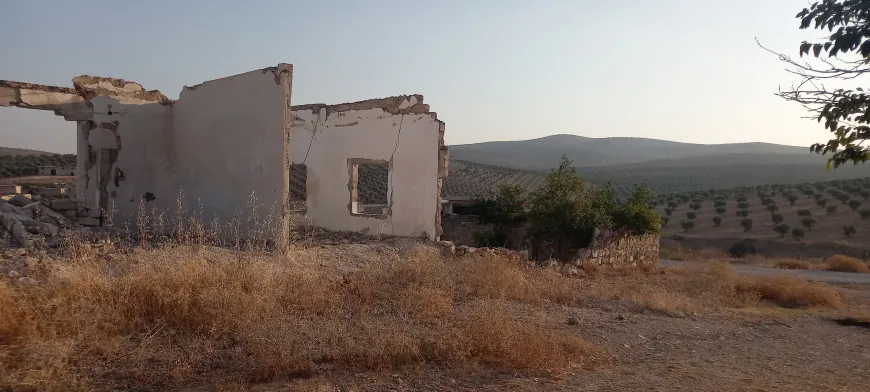 Returning families find homes destroyed and looted in Afrin Village