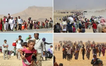 74th genocide: Shengal, end of genocide history; start of Yazidi Community struggle