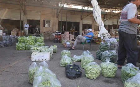 Currency exchange crisis deepens in Hasakah despite deadline extension