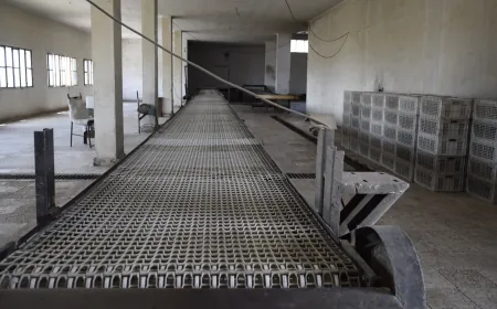 Diesel shortage disrupts bread production in Al-Darbasiyah