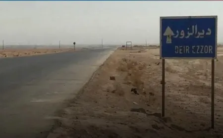 Newborn baby found abandoned by roadside in Deir ez-Zor countryside