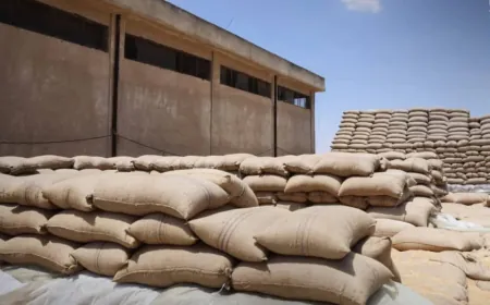 wheat payment delays in Syria raise questions over disbursement mechanisms