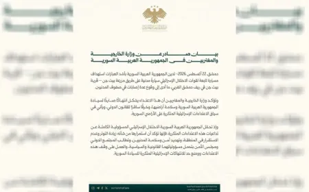 Foreign Ministry condemns Israeli strike targeting vehicle in rural Damascus