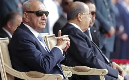 Nabih Berri: significant progress in Lebanese-Syrian relations in coming period