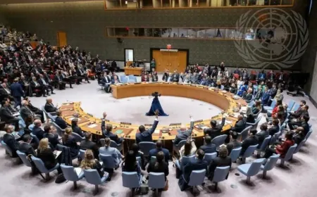 UN: we call for support for stability, reconstruction in Syria